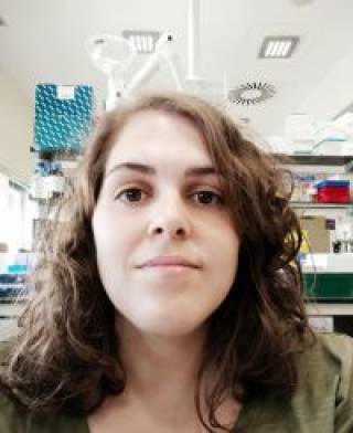 Coral Arnau-Collell