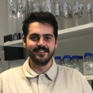 Rubén Ayala-Suárez