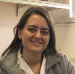 Elisabet Argemí