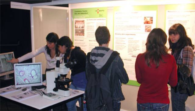 20090416_recerca_en_directe