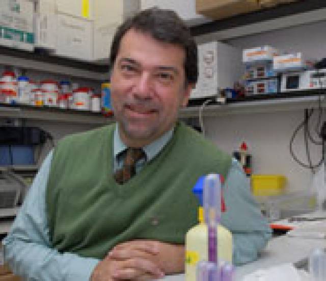 Dr. Pedro Alonso (foto: Rosmi Duaso)