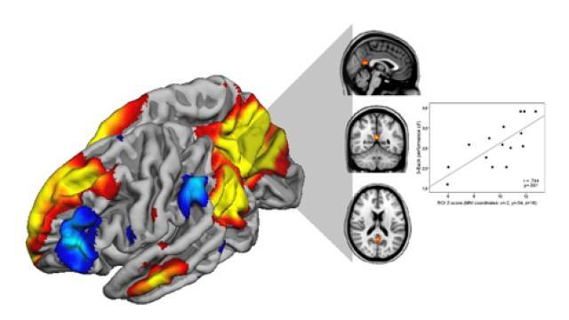 Composició per la revista Cortex
