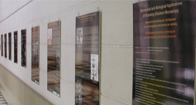 Exposició SEM a la UB