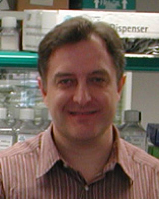 El Dr. Ramon Bataller
