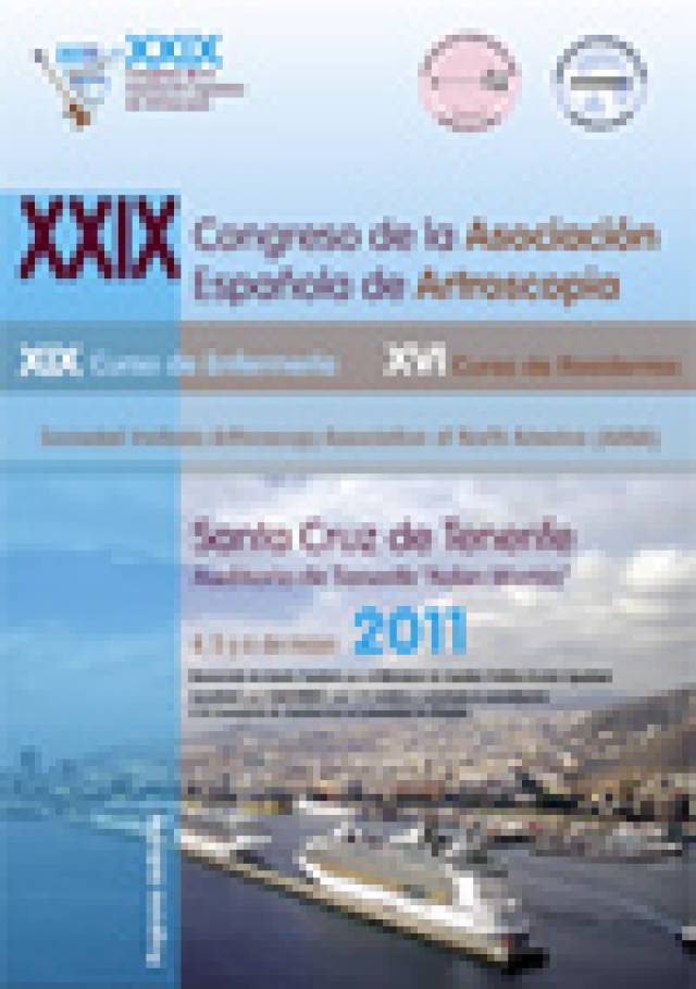 2011_CongresoAEA_XXIX