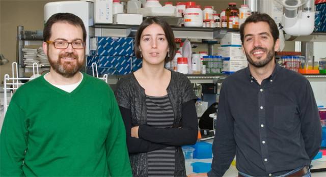 Dr. Sergi Castellví-Bel, Dra. María Dolores Giráldez, Dr. Francesc Balaguer