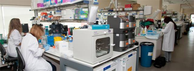 Laboratori de l'IDIBAPS