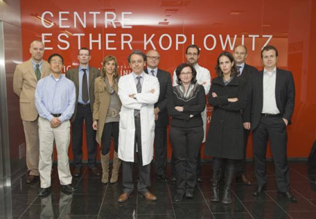 HEPTROMIC partners
