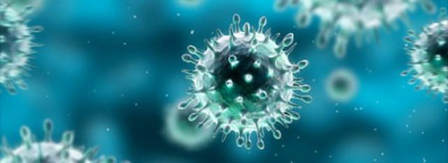 foto-virus-530-hor_pag_6_1