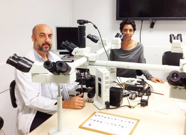 Dr. Pedro L. Fernández i Dra. Adriana García, membres del Grup de patologia mamària del servei d'Anatomia Patològica (CDB)
