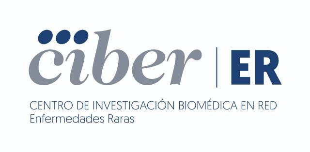 Logo de CIBERer