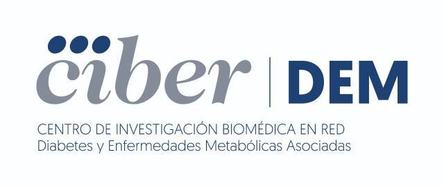 Logo de CIBERdem