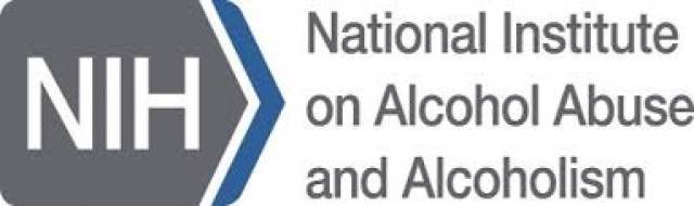 Logo de national institute on alcohol abuse and alcoholism