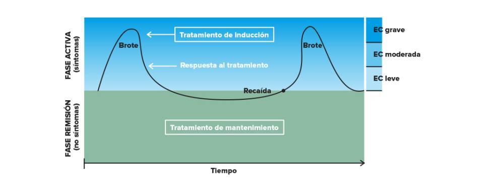 Elección del tratamiento