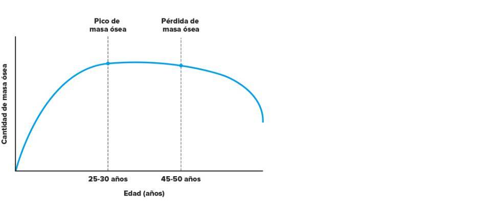 Representación gráfica de la adquisición del “pico” de masa ósea y pérdida posterior a lo largo de la vida.