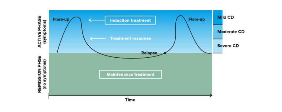The choice of treatment