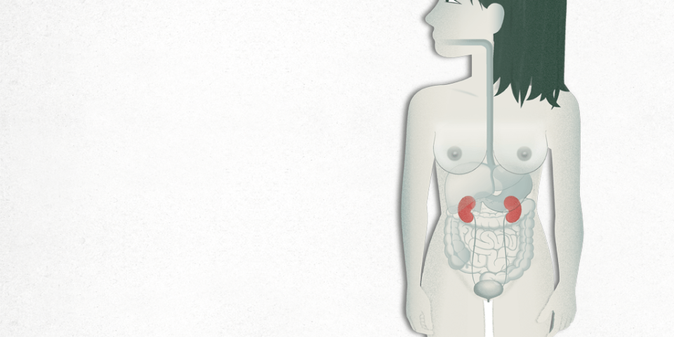 Insuficiencia Renal Crónica