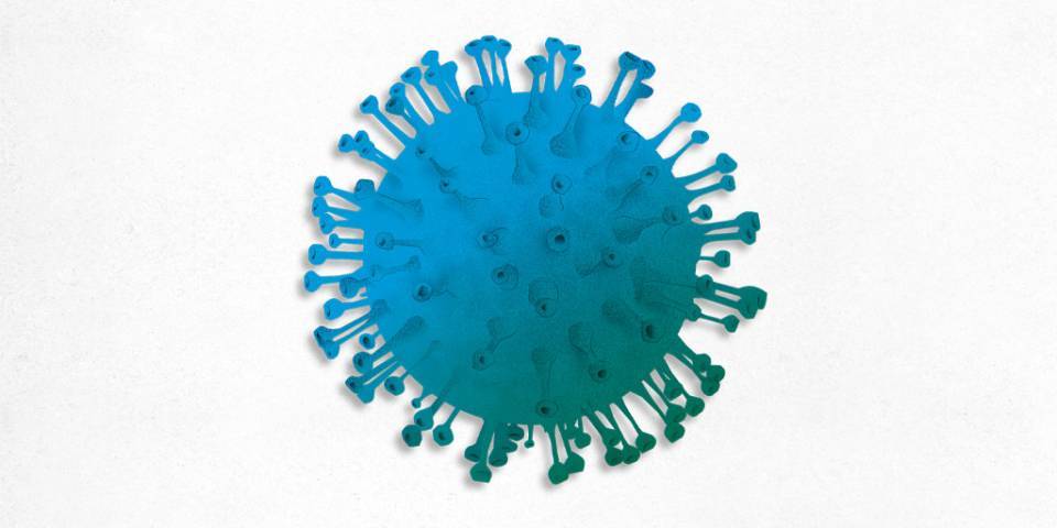 Virus de la gripe