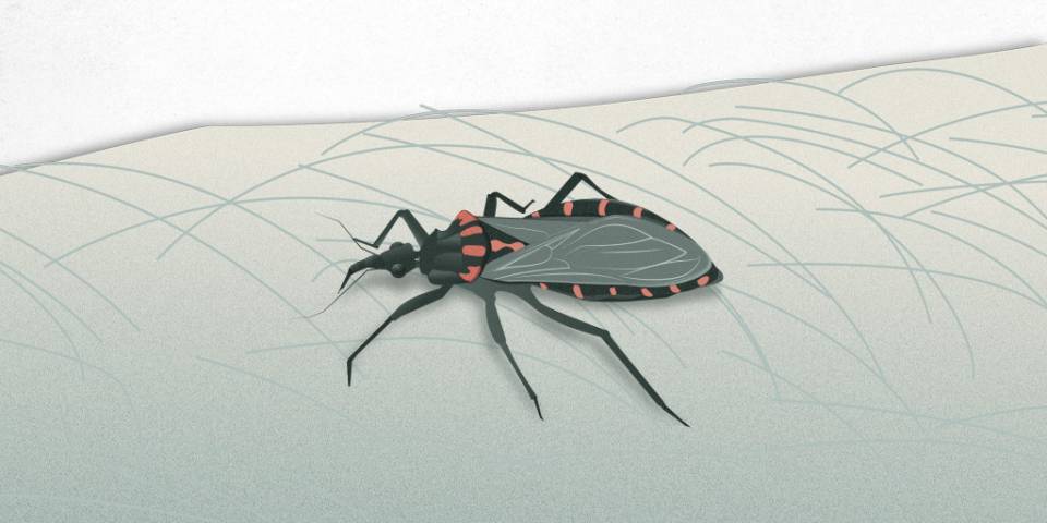 La enfermedad de Chagas
