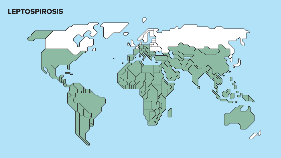 Mapa Leptospirosis