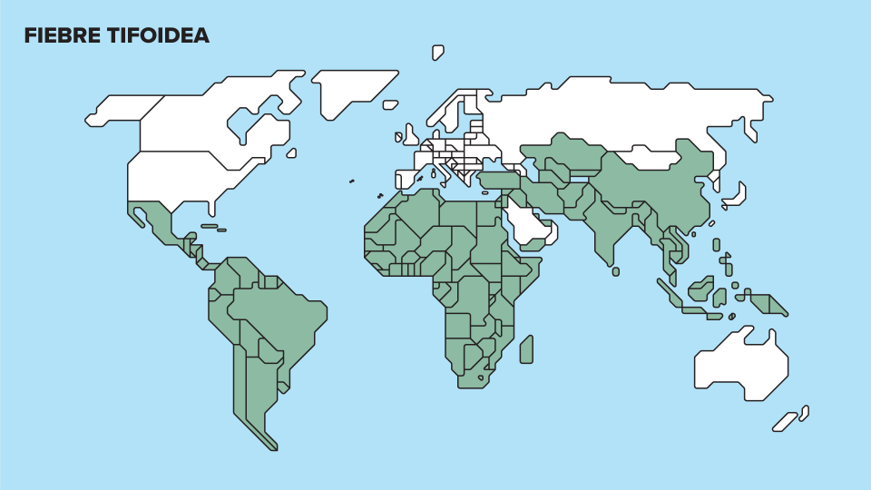 Mapa fiebre tifoidea