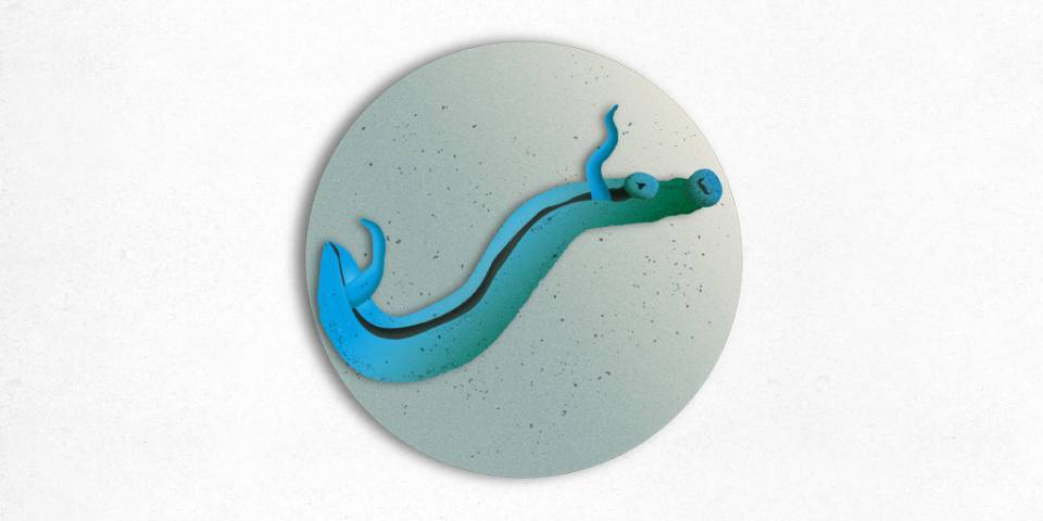 Esquistosomiasis