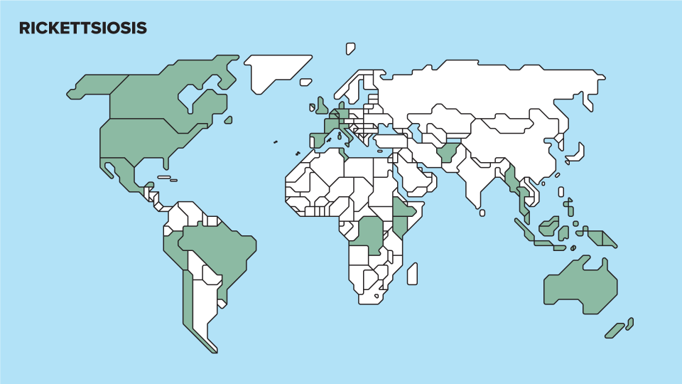 Mapa Rickettsiosis