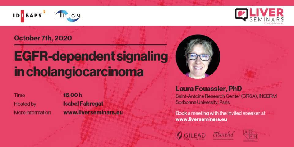 EGFR-dependent signaling in cholangiocarcinoma
