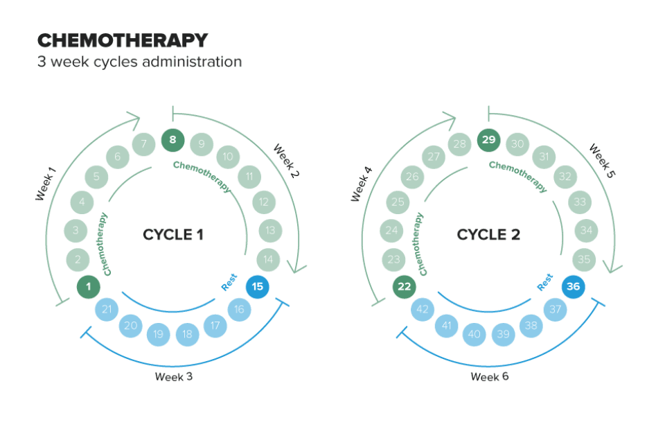 Example of a 3 week cycle in which 2 days of chemotherapy are administered, day 1 and day 8, with 15 days of rest.