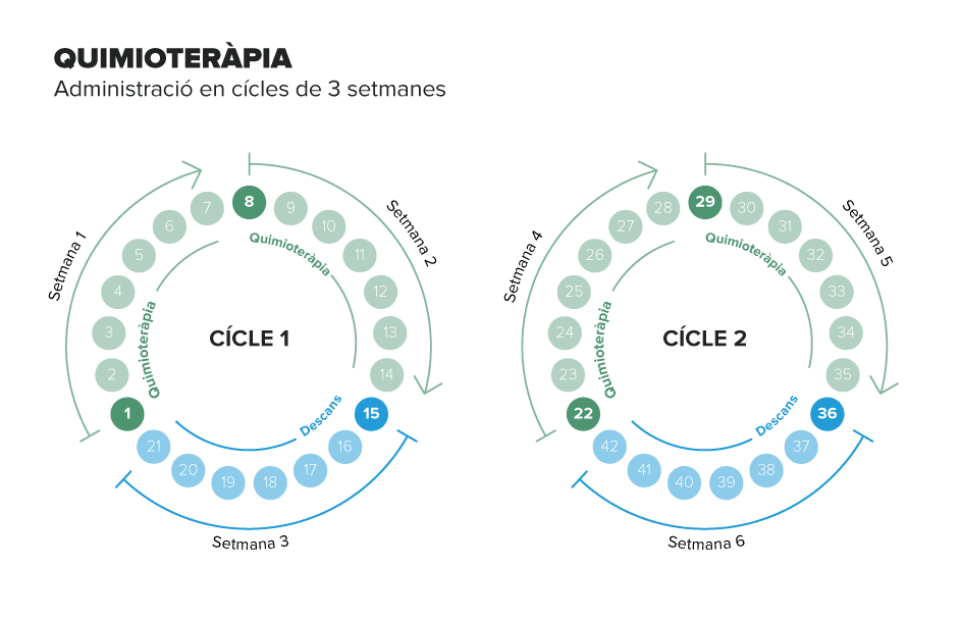 Exemple de cicle de 3 setmanes en el que s'administren 2 dies de quimioterapia, dia 1 i dia 8, amb 15 dies lliure.