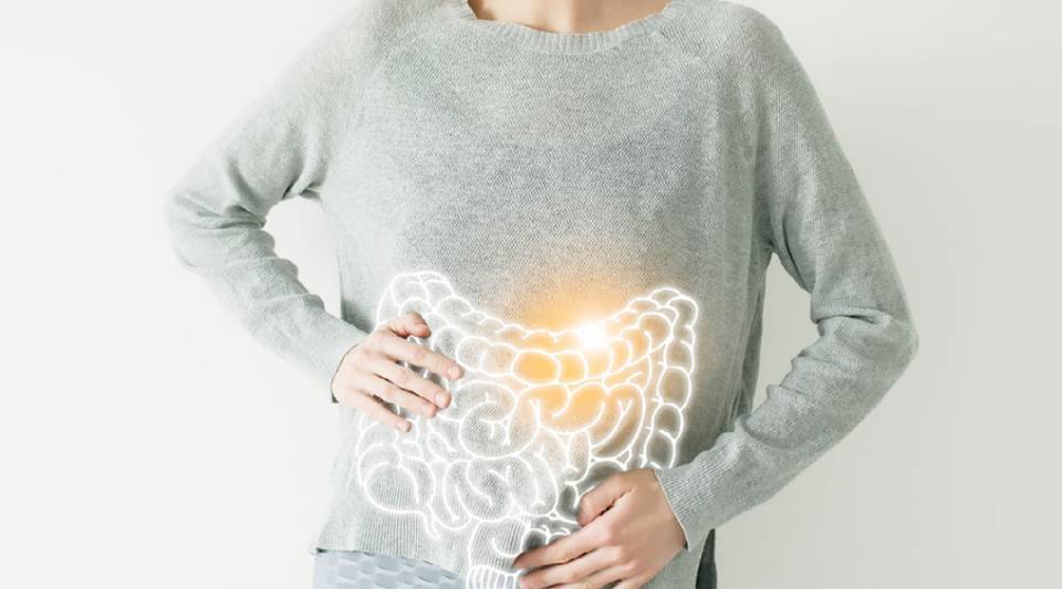 Ulcerative colitis and Crohn's disease are the best known types of IBD.