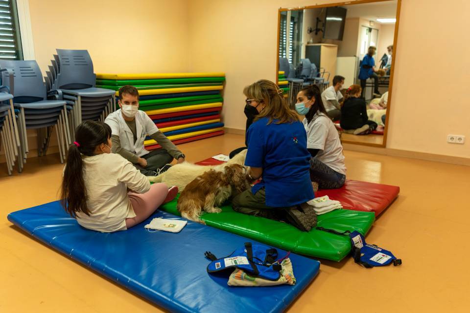 therapy session with dogs