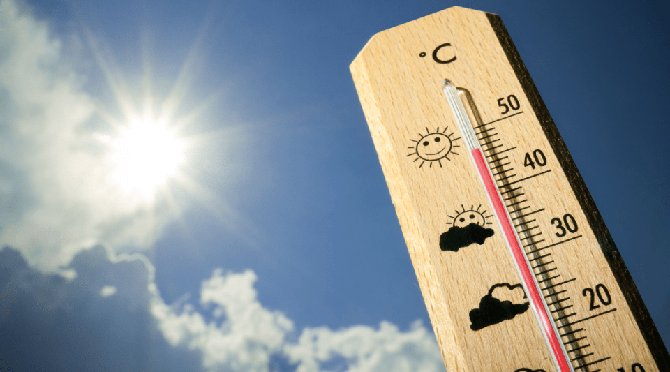 heatstroke, Clínic
