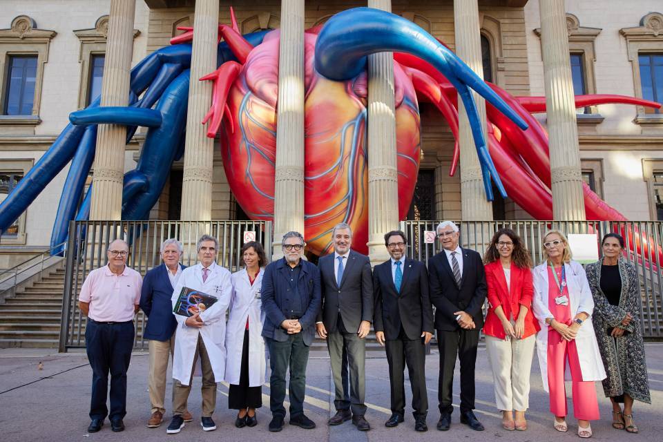 Plensa Corazón Clínic