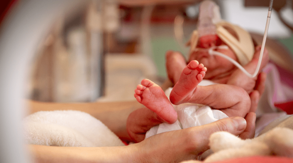 37 weeks premature clearance