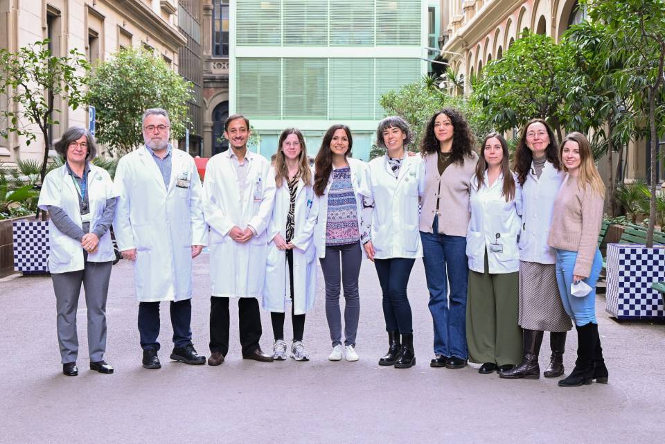Investigadores e investigadoras del estudio