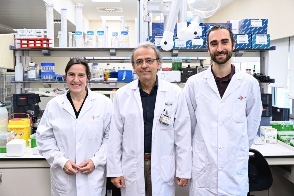 From left to right: Roser Pinyol, Josep M. Llovet and Albert Gris