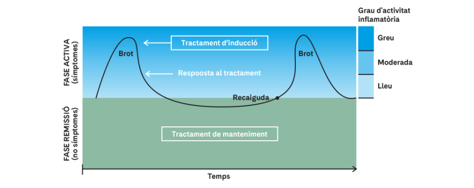 Elecció del tractament