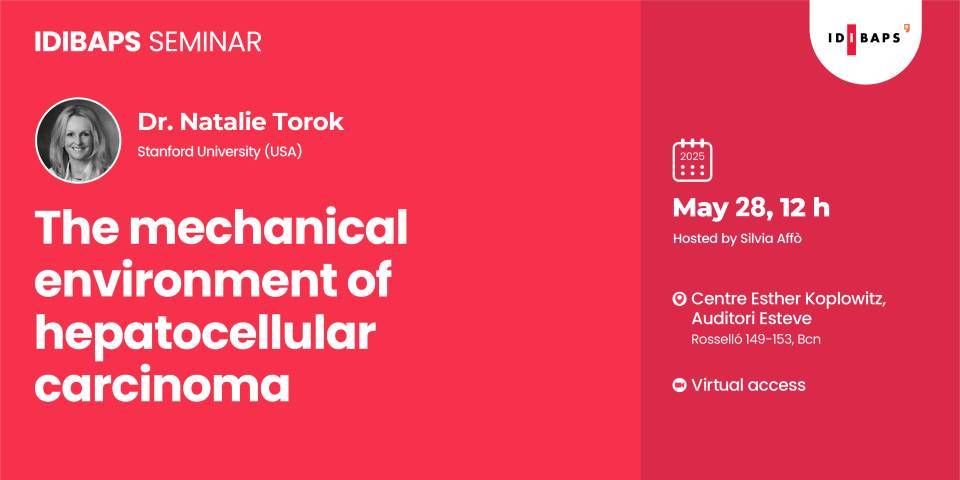 IDIBAPS SEMINAR: The mechanical environment of hepatocellular carcinoma