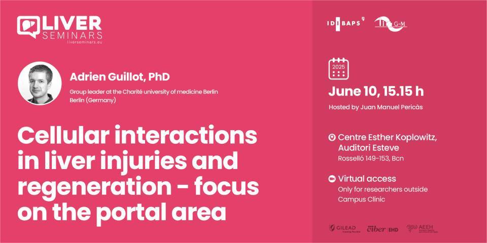 IDIBAPS Liver Seminar: Cellular interactions in liver injuries and regeneration - focus on the portal area