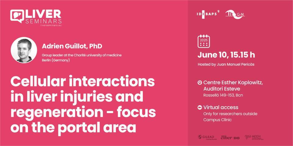 IDIBAPS Liver Seminar: Cellular interactions in liver injuries and regeneration - focus on the portal area