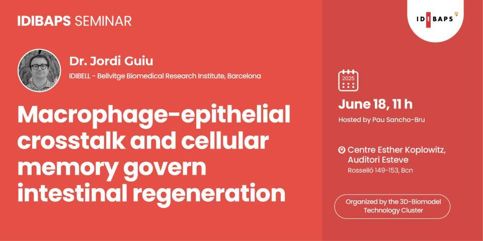 IDIBAPS SEMINAR: Macrophage-epithelial crosstalk and cellular memory govern intestinal regeneration