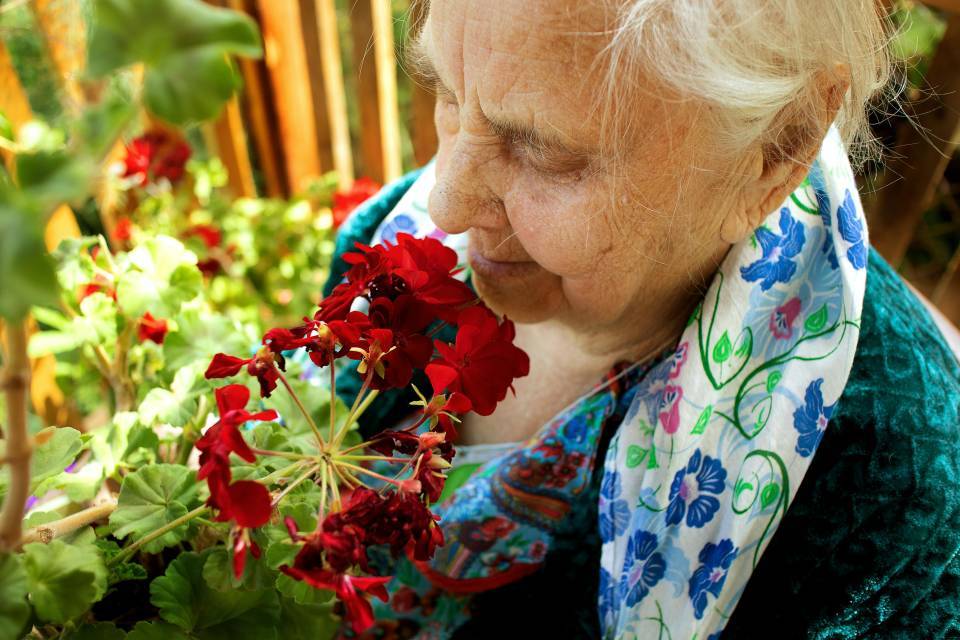 smell test Parkinson