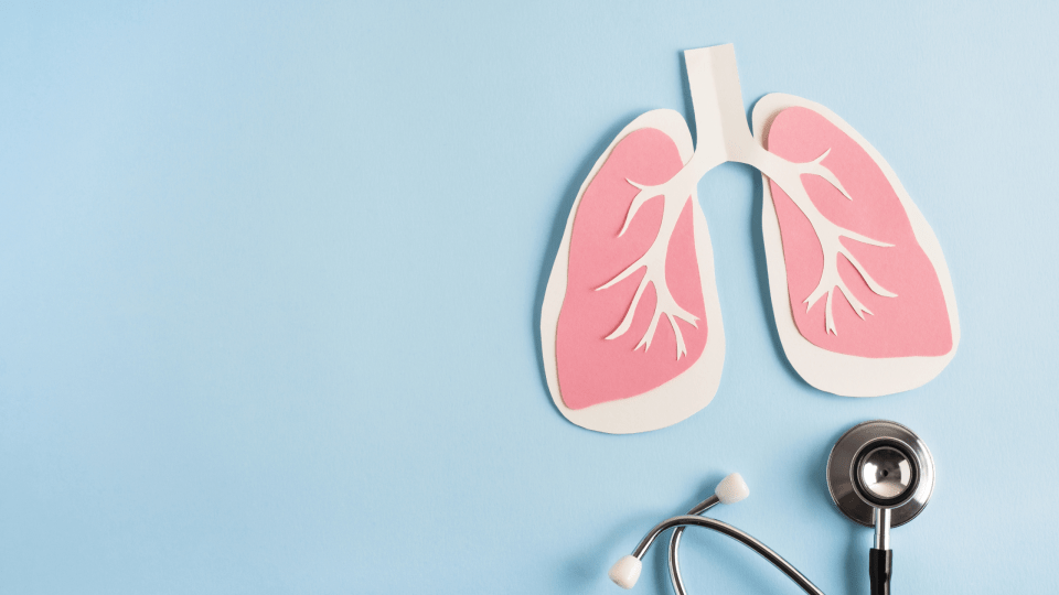 infografía cuerpo y pulmones