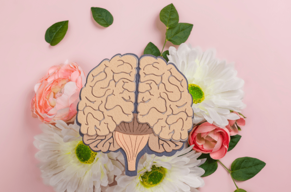 Salud mental y ciencia: ¿Cómo investigamos los trastornos del cerebro?