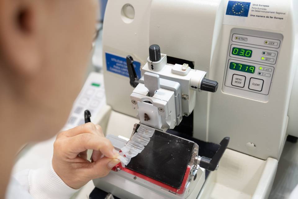 Recerca i innovació