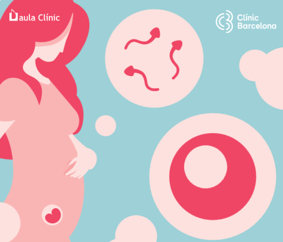 II Jornada de Reproducció Humana Assistida i Endocrinologia Hospital Clínic i C-17: Preservació de la Fertilitat: avui pel demà