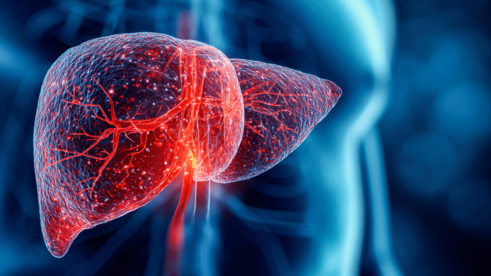 Consensus Conference on Liver Health