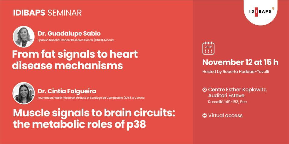 IDIBAPS SEMINAR: "From fat signals to heart disease mechanisms" and "Muscle signals to brain circuits: the metabolic roles of p38"
