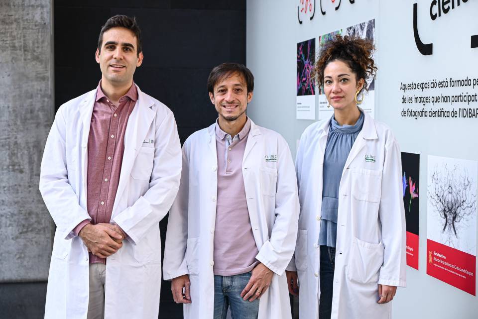 From left to right: Vicent Llorca-Bofí, Joaquim Radua Castaño and Giovanna Fico.